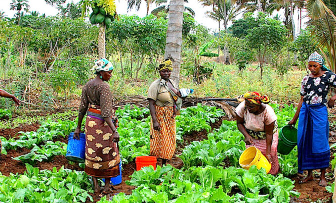 Women-in-agriculture